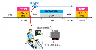 軽運動の前頭前野機能向上効果は瞳に映る