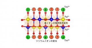 電子誘電体が圧電性と強誘電性を示すことを実証―圧電性と強誘電性を導く新たな機構の提案―