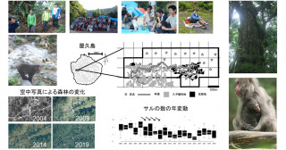 20年間の森林とニホンザルの個体数の変動―934人の「ヤクザル調査隊」による成果―