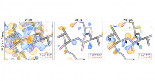 温度による酵素の構造変化を分子動画撮影 様々な生体高分子のダイナミクスを決定する新たな方法論