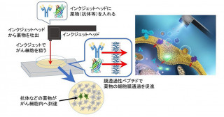 膜を傷つけず細胞内に薬を届ける新技術！～インクジェットプリンター技術の活用でがん細胞に直接アプローチ～