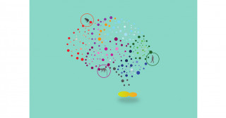 ヒト脳組織の動物移植に伴う倫理問題を体系化