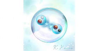 クォーク4個から成る「純粋テトラクォーク」―加速器実験で見えた新粒子をスーパーコンピュータ「富岳」で解明―