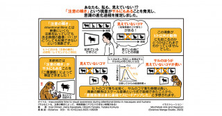 知覚のコマ落ちから、意識の時間を可視化―意識の進化的側面にもアプローチ―
