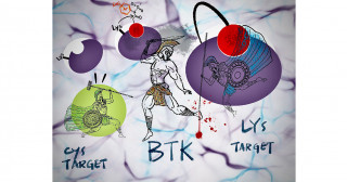 Can't un-cook an egg