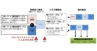 小児の急性骨髄性白血病の治療成績が向上 微小残存病変（MRD）の測定結果を利用した最適な治療の実現へ～3年無イベント生存率63％、3年全生存率80%に～