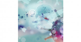 新型コロナウイルス排出と粘膜抗体の関係を解明～呼吸器ウイルスのヒト間伝播を制御・予防する第一歩～