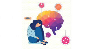 不安障害を引き起こす遺伝子群の解析から脳回路を特定－パニック障害などの原因究明に期待