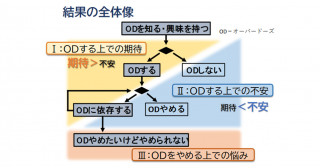 市販薬乱用に関して投稿された質問の分析―Yahoo!知恵袋内テキストデータの定性分析―