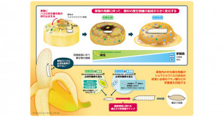 自然界で動物の成長を支える共生微生物叢―中心的な役割を担う共生酵母・細菌の同定―