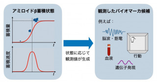 アルツハイマー病の予兆候補の発見に役立つ機械学習モデル開発〜現実的な実験データの制約下で適用可能なモデル〜