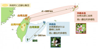 別経路で二度来訪していた絶滅危惧植物―世界遺産地域における生物多様性の成立過程―