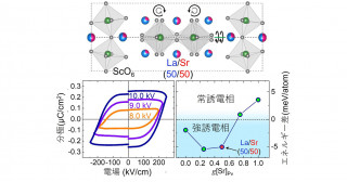 新奇層状ペロブスカイト強誘電体の発見 ―Aサイトの無秩序な原子配列により誘起される強誘電性―