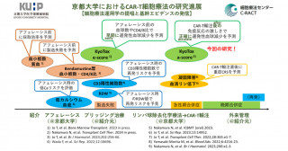 CAR-T細胞療法後に発熱が持続するとその後に血球減少が高率に起こる―最先端の治療における悩みの種をKyoToxモデルで解決―