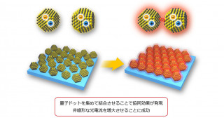 集めてつなげば協力し合う、量子ドットの新しい協同効果を発見して非線形光電流の増幅に成功―太陽電池、光エネルギーの有効利用につながる新現象―