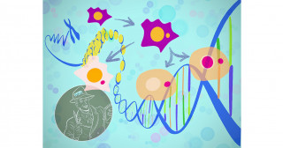 Sting operation out of gas