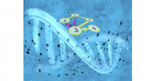 Gene expression technology set to semi-automation