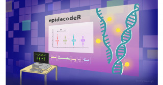 エピゲノムとエピトランスクリプトームの 新たな解析ツール「epidecodeR」の開発
