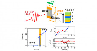 高強度テラヘルツ電流が引き起こす特異な超伝導スイッチング動作の発見―新規超伝導デバイス開発や性能向上に向けた新たな知見―