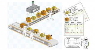 細胞の硬軟をDNAシーケンシングで測る―細胞の力学的性質を制御するメカニズムの理解に寄与―