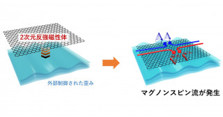 歪みが引き起こす反強磁性マグノンスピンホール効果を予言―2次元ファンデルワールス反強磁性体の新たな磁気測定手法として期待―
