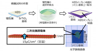 二次元強誘電体の作製に成功―強誘電体デバイス開発の新しいルートを開拓―