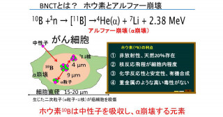 難治性の“がん”は甘いものがお好き！～膵がんへホウ素を使った新たな治療法開発！～