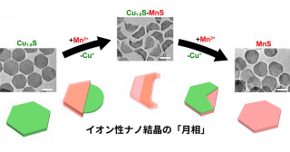 カチオン交換反応中に起こるイオン性ナノ結晶の特異な変形挙動を発見―温和な条件でのナノ結晶形状制御に向けた新たな知見―