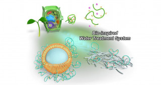 水中の有毒金属イオンを選択的・大量に捉える高分子材料を新開発―日独連携での水環境浄化システムの開発―