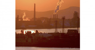 Demand for low-quality credits undermines the voluntary carbon market