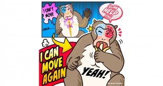 Investigating the role of interhemispheric pathways in motor recovery 