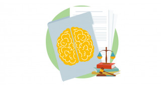 脳オルガノイドの研究とその応用に関する法的問題を体系化―国際的な法的枠組みへ第一歩―