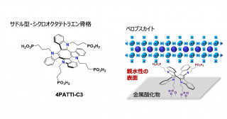 ペロブスカイト太陽電池の高性能化に向けた濡れ性の高いテトラポッド型正孔回収単分子膜材料PATTIの開発