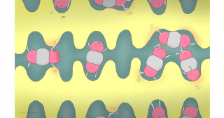 Pioneering gas-adsorbing materials reveal hidden softness