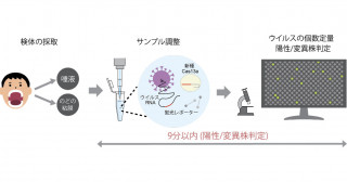 ウイルス感染症の世界最速ポータブル遺伝子検査装置の開発－臨床現場での即時検査への実用化に期待－