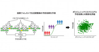 ポリジェニックリスクスコア×機械学習で紐解く生活習慣病の遺伝的リスクと予防効果との関係