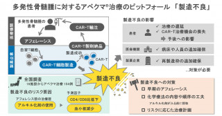 CAR-T細胞療法におけるピットフォール―多発性骨髄腫に対するアベクマの製造不良に関する実態調査―