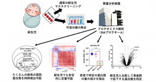 原発性免疫不全症の新生児期診断の実現へ-多数の遺伝性疾患を対象とした網羅的ろ紙血プロテオーム検査法の開発-