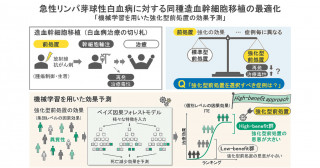 人工知能を用いた造血幹細胞移植の最適化―急性リンパ芽球性白血病に対する強化型前処置の効果予測―