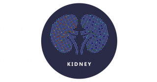 ATP動態から見る虚血後糸球体障害の病態解明 ―ミトコンドリア分裂抑制によるポドサイト保護― 