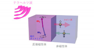 テラヘルツ波がスピン流に変換される機構を実証・解明～通信、メモリ技術を革新する“スピントロニクス”発展に寄与～