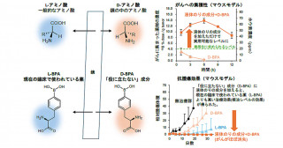 「液体のり」の成分と「鏡」を利用したがん治療―ポリビニルアルコールが“役に立たない”化合物に秘められた効果を引き出す―