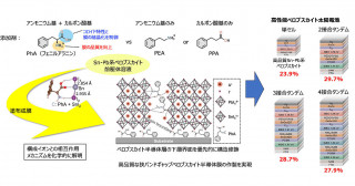 スズを含むペロブスカイト半導体の界面構造制御法の開発とメカニズム解明〜高性能多接合（タンデム）型太陽電池の実現〜